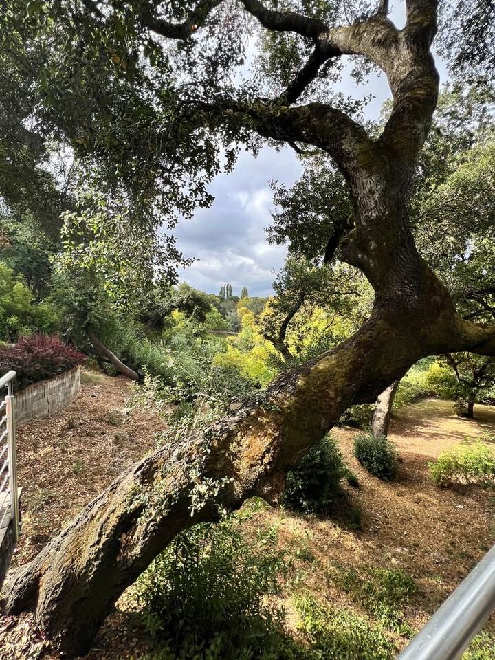 1765 Silverado Trl - Photo 2 of 16