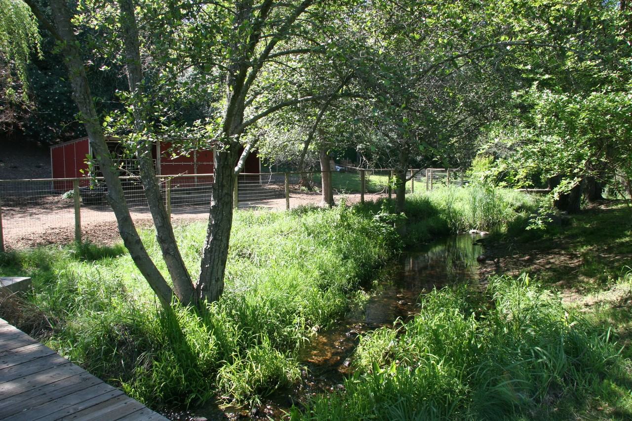 6840 Oak Ave - Photo 6 of 17