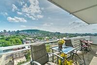 3555 Rue Berri - Photo 3