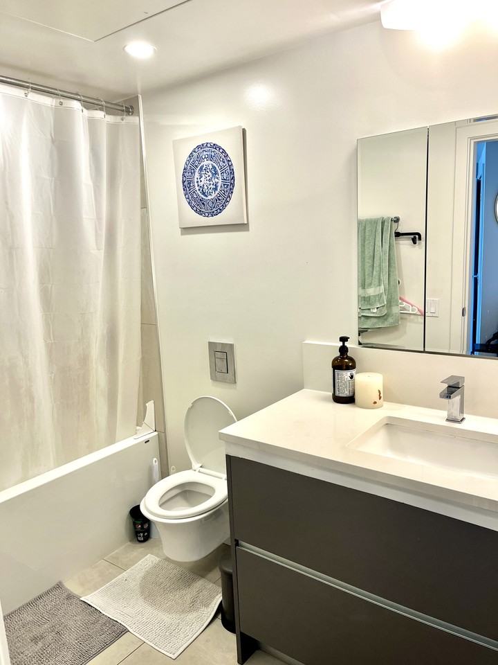 180 East 2nd Avenue #2106 - Photo 3 of 12