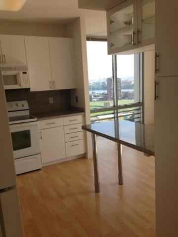 100 Landsdowne St #1401