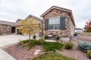 featured image of 2025 Zenato Ct