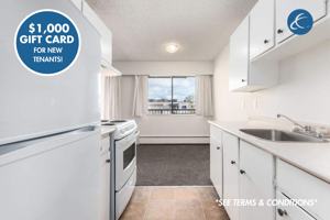 featured image of 20119 & 20119 56th Avenue