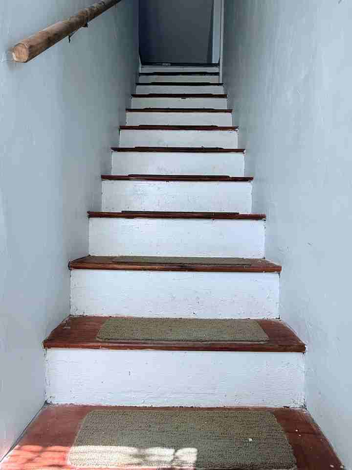 25 Andem St #3 - Photo 3 of 20