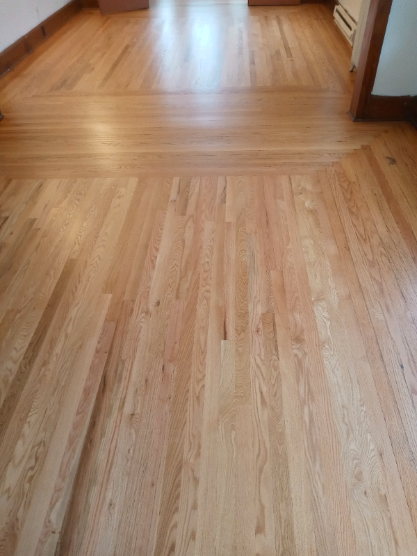 1210 Erie St #1 - Photo 3 of 42