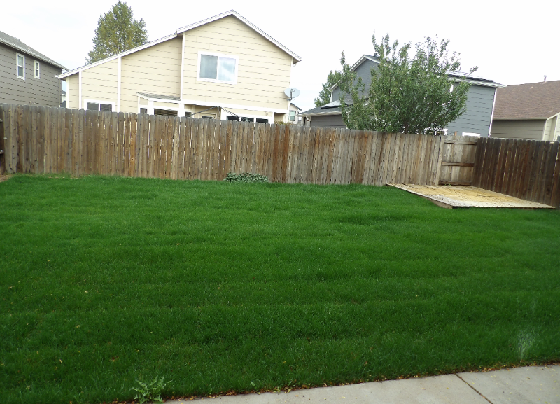 4979 Butterfield Dr - Photo 2 of 25