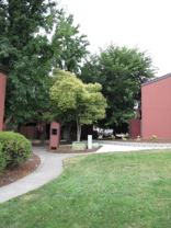 Cedar Tree Apartments - Photo 1 of 1