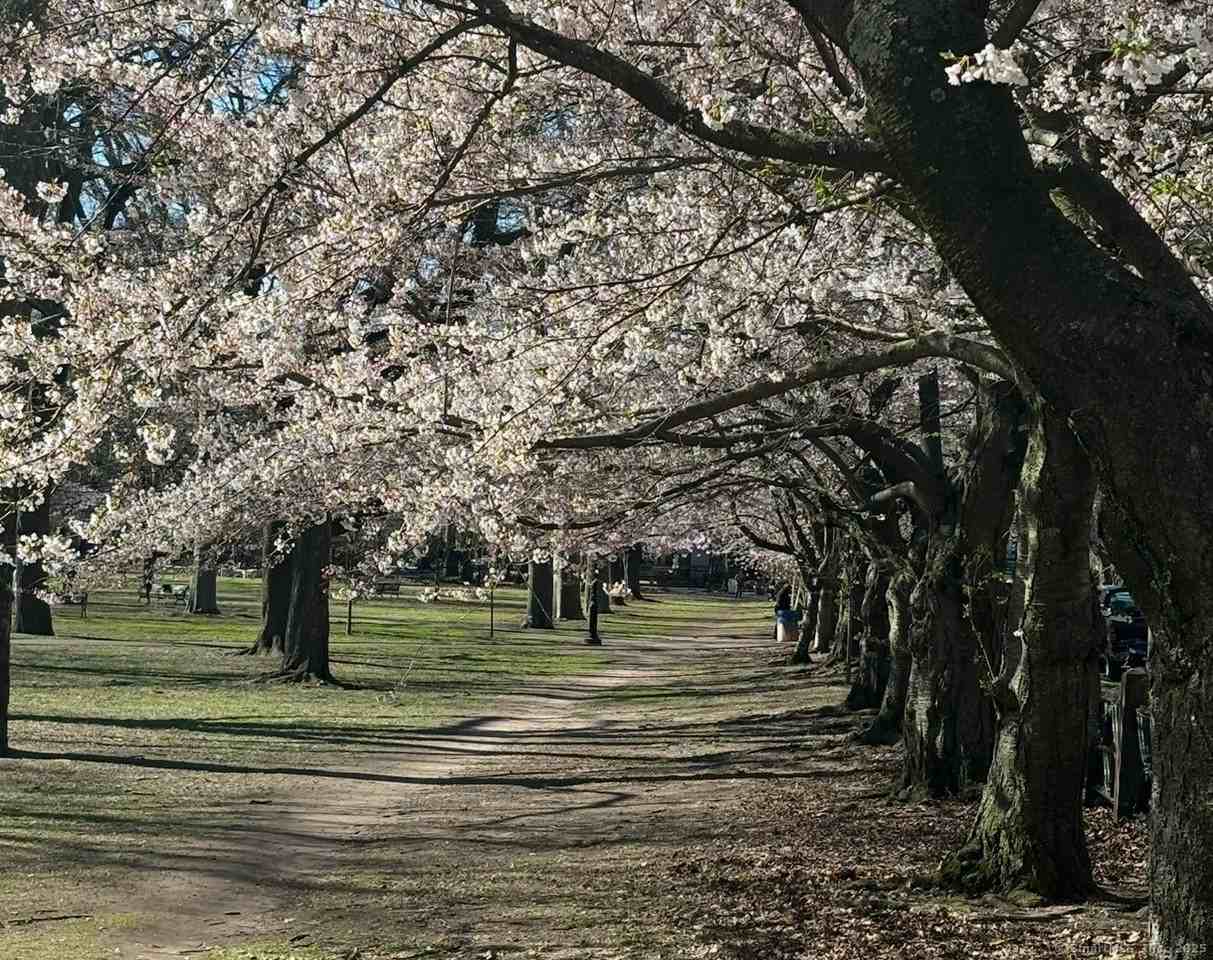 38 Academy St #1 - Photo 4 of 25