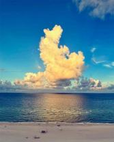 5601 Collins Ave #1607 - Photo 1 of 1