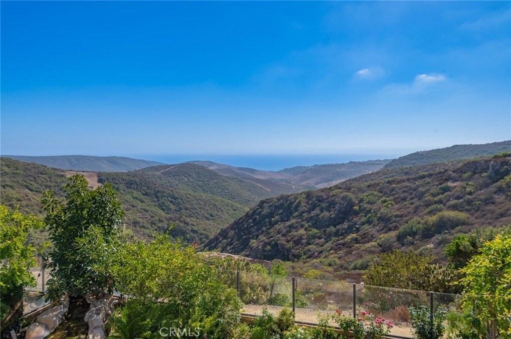 4 Star Catcher - Photo 3 of 23