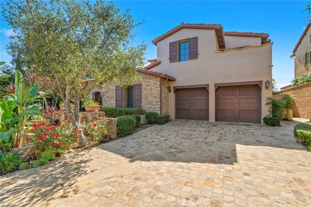 4 Star Catcher - Photo 4 of 23