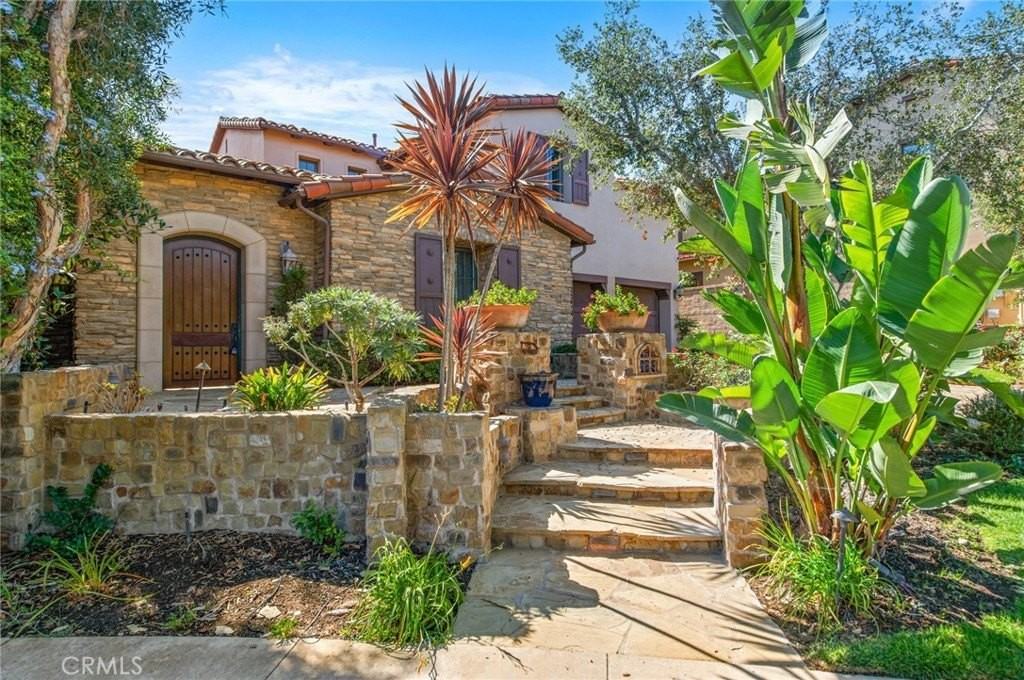 4 Star Catcher - Photo 5 of 23