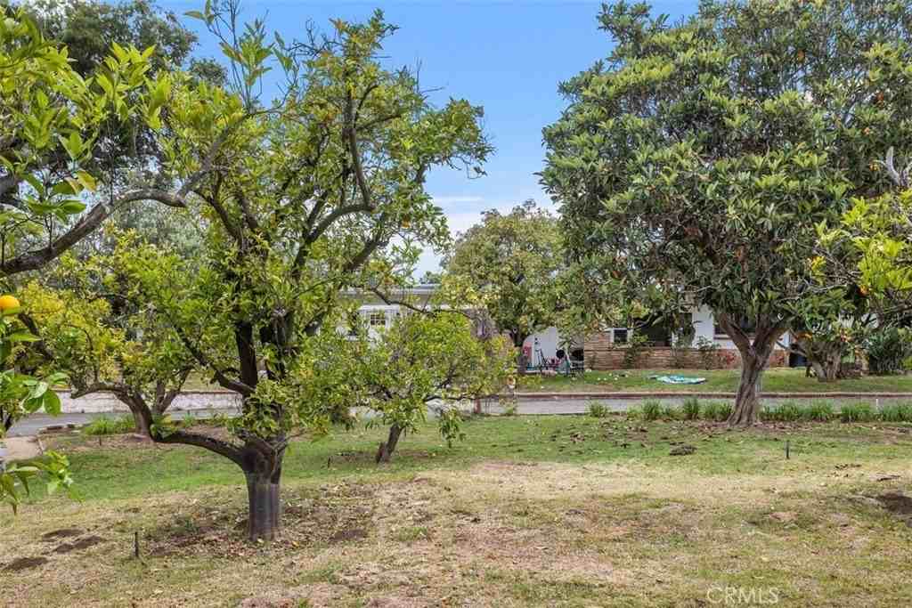 1840 Gum Tree Ln #C - Photo 3 of 37