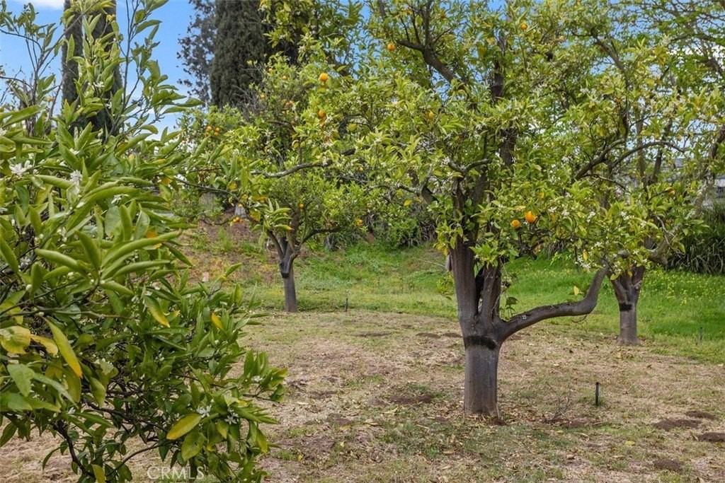 1840 Gum Tree Ln #C - Photo 5 of 37