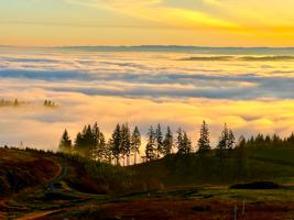 featured image of 205 Island View Dr