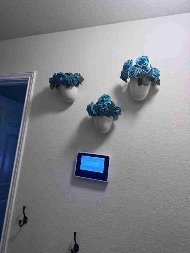 Hay Needle Ln - Photo 3 of 10