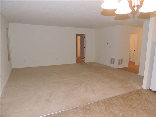 7315 Graymont Dr - Photo 3 of 10