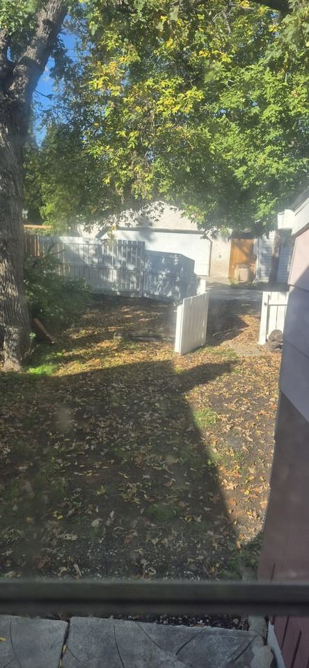 328 Rutland St #1 - Photo 7 of 7