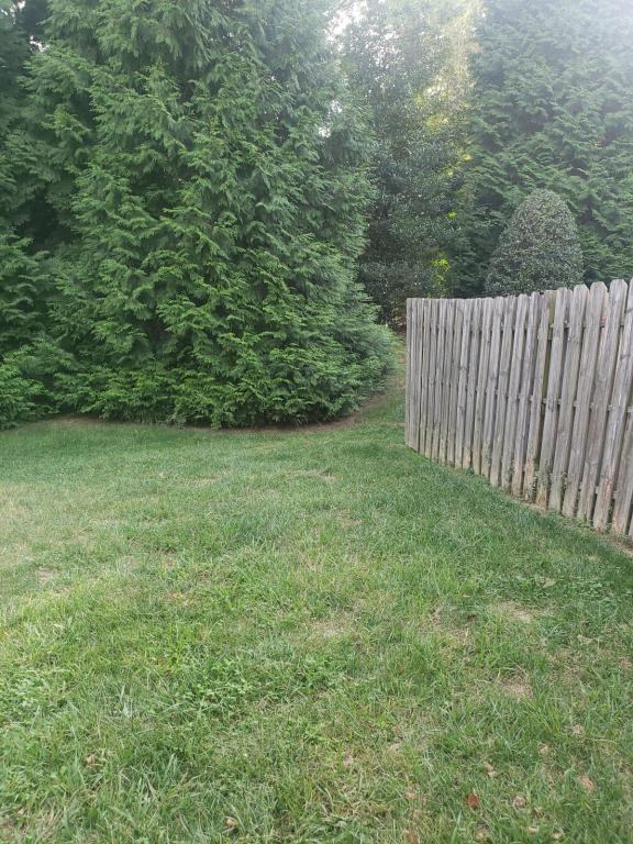 311 Daniels Drive - Photo 3 of 9