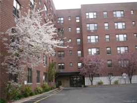77 Carpenter Ave #5T - Photo 1 of 1