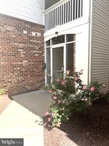 6510 Lake Park Dr Apt T1 #T1 - Photo 1 of 1
