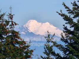 featured image of 1965 Baker View Dr