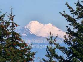 1965 Baker View Dr - Photo 1 of 1