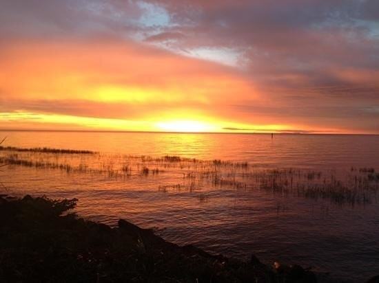 5250 Us Hwylot - Photo 3 of 20