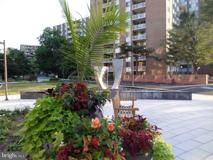 2939 Van Ness St Nw Apt 1126 #1126 - Photo 1 of 1