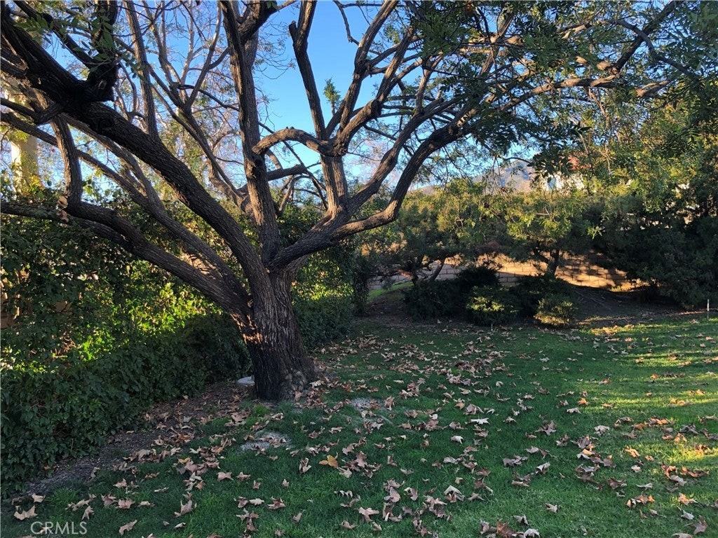 303 E Dunbarton Pl - Photo 4 of 21