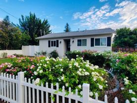 25461 Cole St - Photo 1 of 1