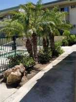 133 Santa Clara Apartments - Photo 1 of 1