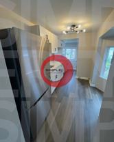 1435 Cotton St - Photo 1 of 1