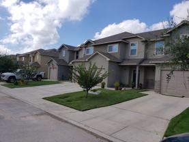 16815 16815 Dancing Ava - 3 #3 - Photo 1 of 1