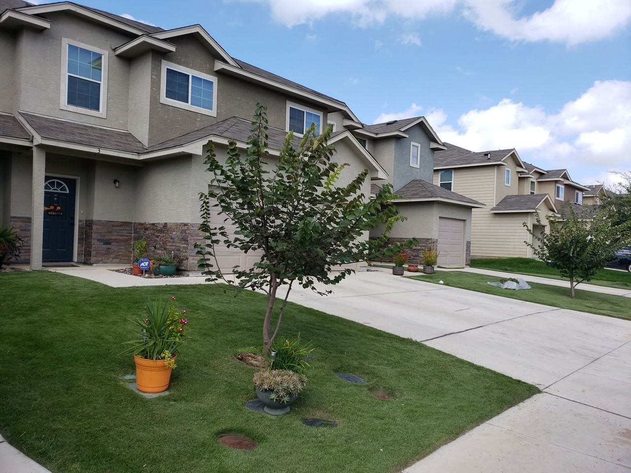 16815 Dancing Ava #3