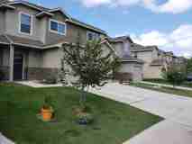 16815 Dancing Ava #3 - Photo 1 of 1