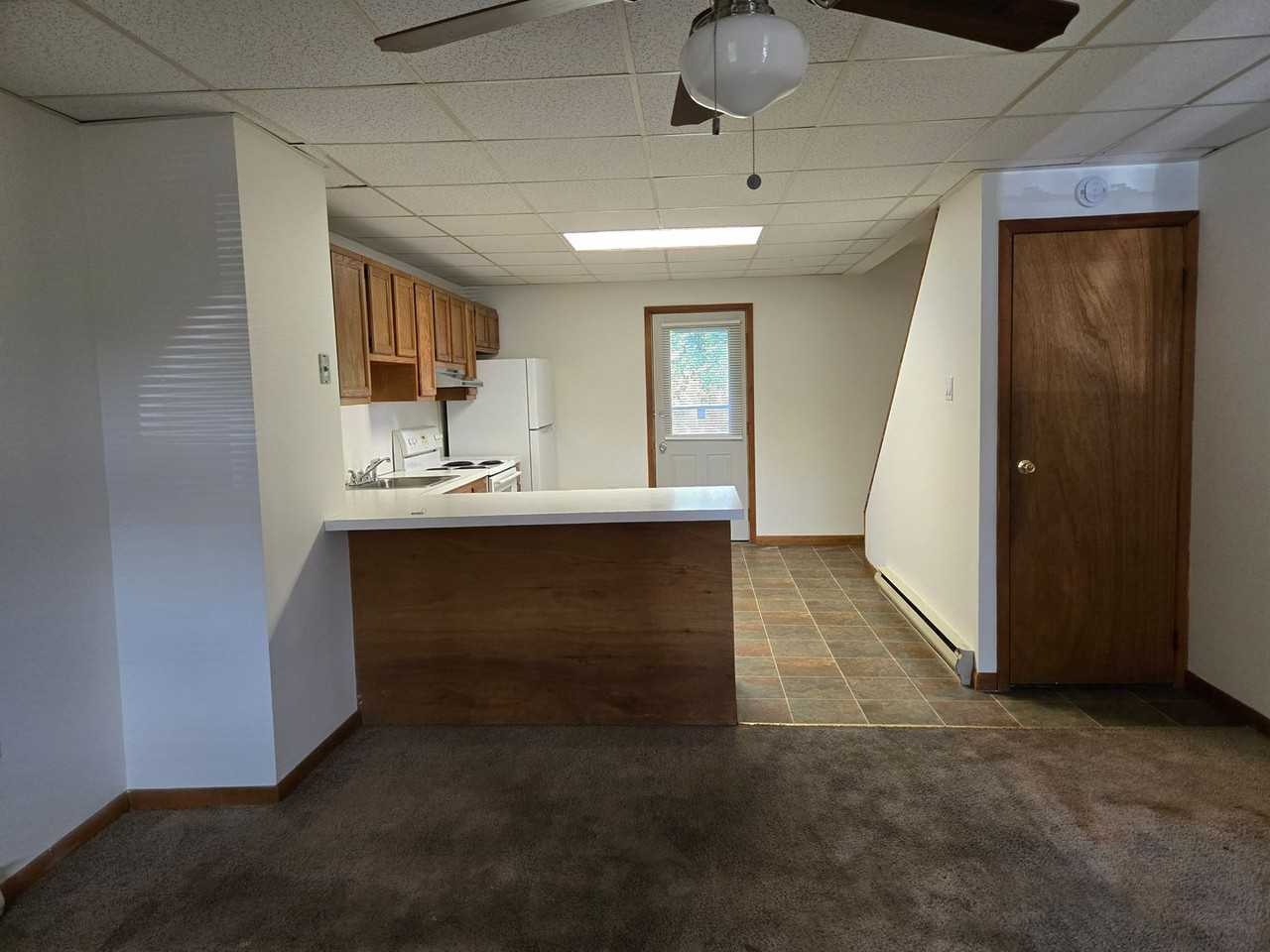 215 Bushkill St - Photo 3 of 22