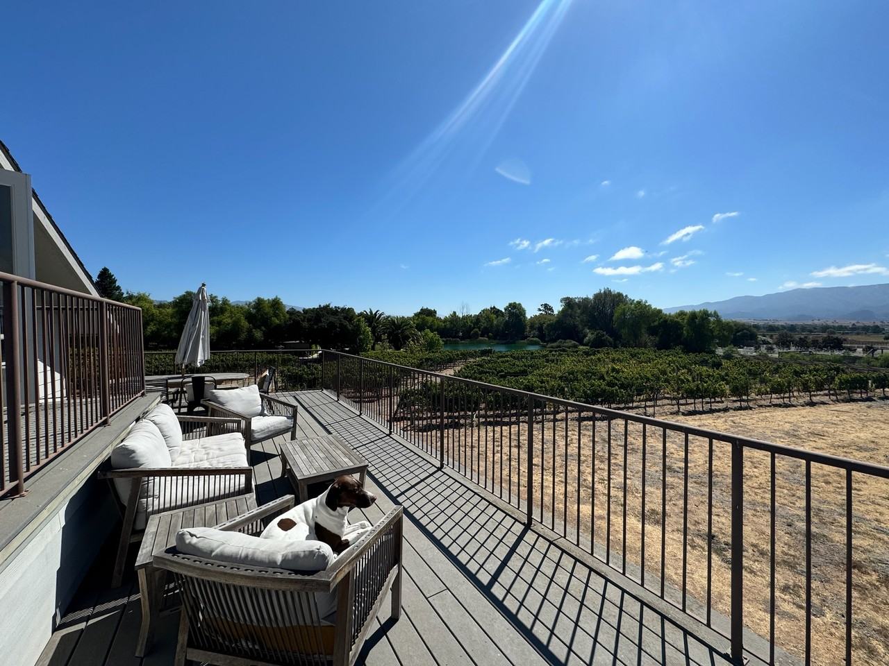 3730 Roblar Ave #NA - Photo 2 of 41