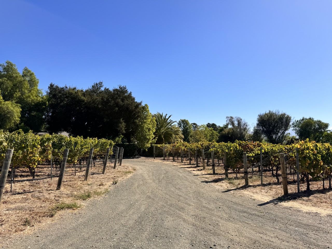 3730 Roblar Ave #NA - Photo 6 of 41