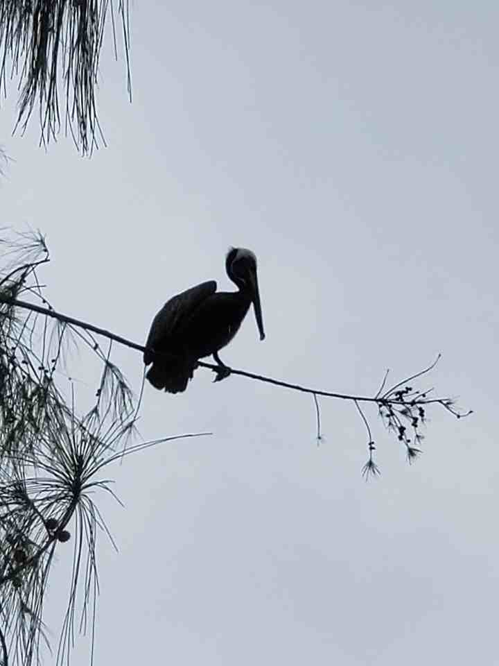 402 Ocean Club At 7 Seas #402 - Photo 2 of 8