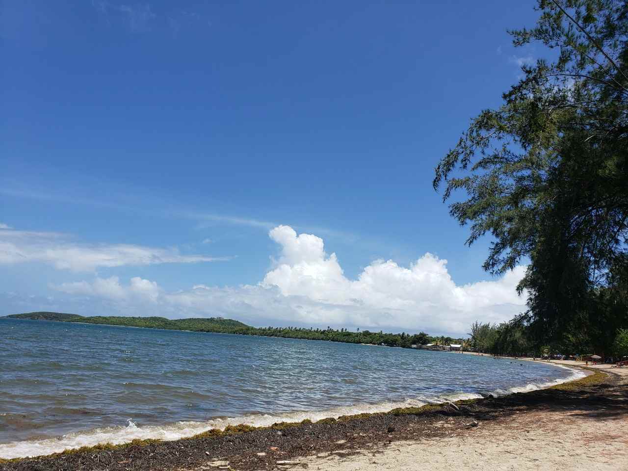 402 Ocean Club At 7 Seas #402 - Photo 5 of 8