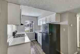 116th Avenue North #12 - Photo 1 of 1