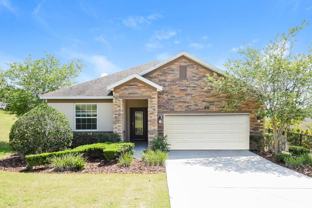 12425 Hammock Pointe Cir - Photo 1 of 1