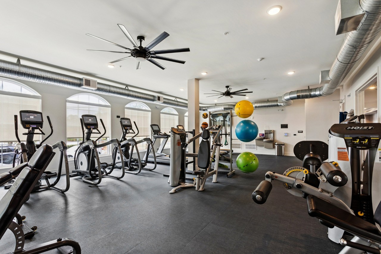 Lumina - Photo 7 of 33