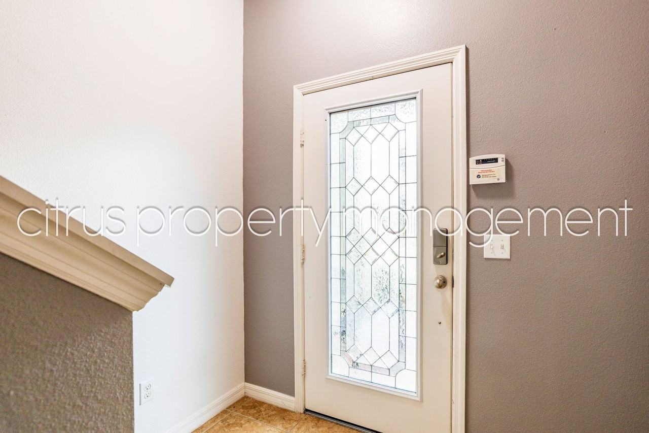 3813 Black Spruce Ln - Photo 5 of 33