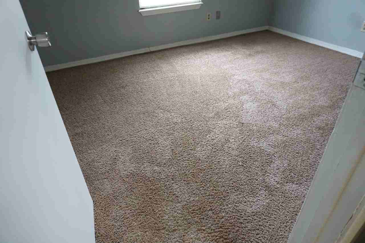 7656 Jana Ln S - Photo 7 of 11