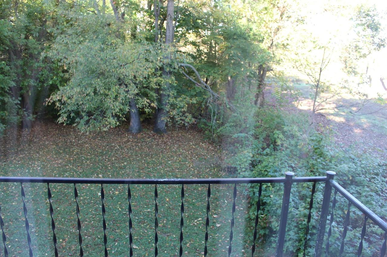 6489 Sorby Rd Apt 210 #210 - Photo 5 of 10