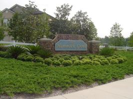 featured image of 12301 Kernan Forest Boulevard #2502
