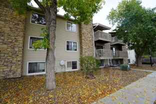 381 S Ames St #E307 - Photo 1 of 1