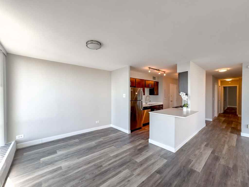 5600 N Sheridan Rd #11A - Photo 6 of 21